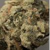 Voyagers: Kosher Kush