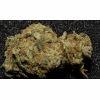 Pine Apple Expres