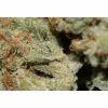 Voyager: Sweet Pink Grapefruit