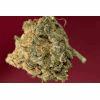 Katsu: Orange bud