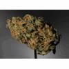 Bluebird: Lemon haze
