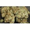 Voyager: Sweet Pink Grapefruit