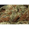 Bluebird: Strawberry sour diesel