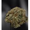 Bluebird: Strawberry sour diesel