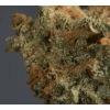 Bluebird: Lemon haze