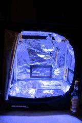 IMG 4457