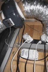 IMG 4452