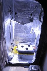 IMG 4443