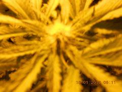 DSCN0100