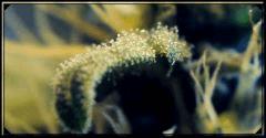 test macro 7 A
