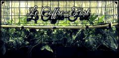 Le coffre scrog