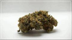BlueBerry (dutch passion) curing +60