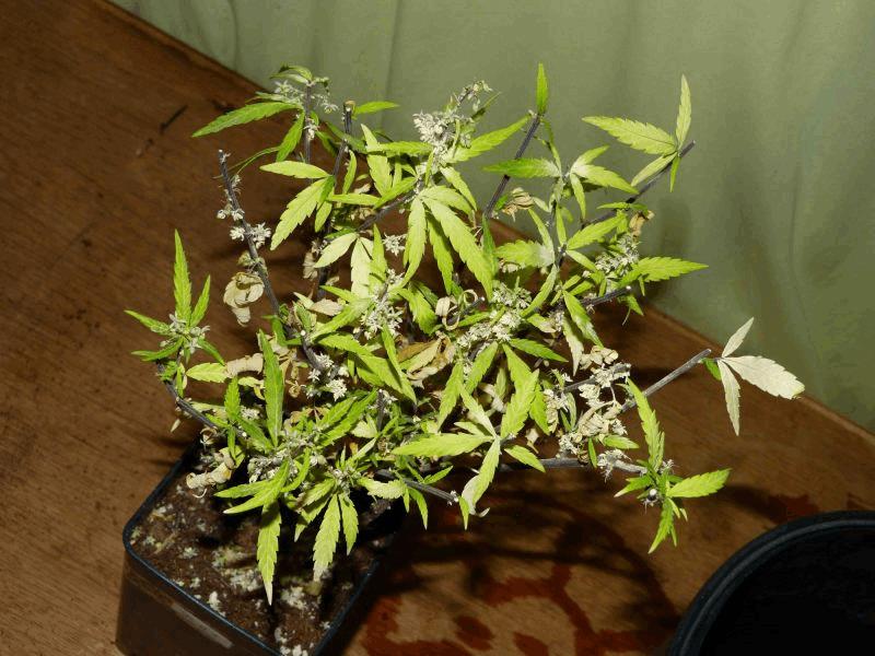 med_gallery_839640_4772_541433.jpg