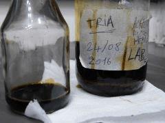 P1210590aaa.jpg