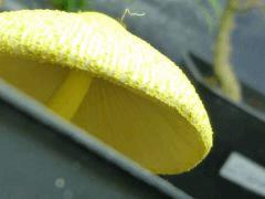 P1200460aaa