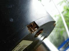 P1160678aaa