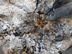 P1170181aaa