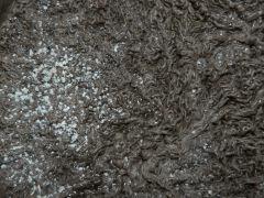 P1230290aaa