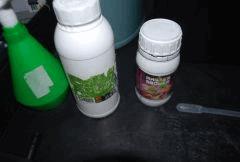PH- BOOST RACINAIRE