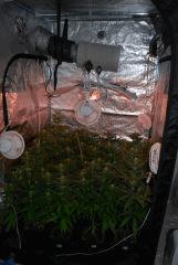 660 Watt qui s'allume...