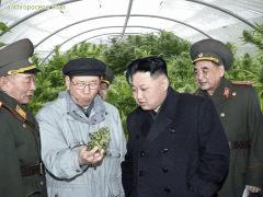 Kim Bong Un