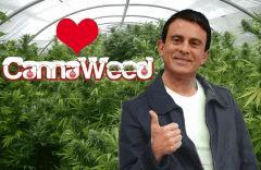 I <3 cannaweed
