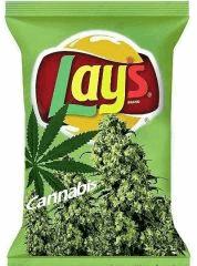Lays gout weed