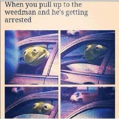 true story bro