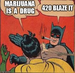 20q250b