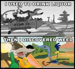 coyote roadrunner alcohol weed memes