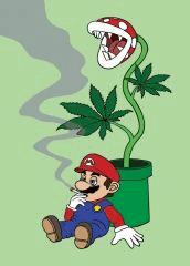mario smoking pipe plant marajiwana original