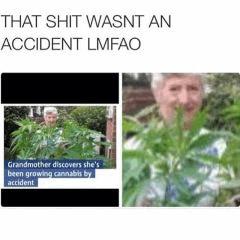 No Accident