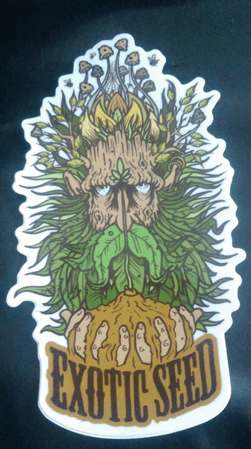 exotic seed
