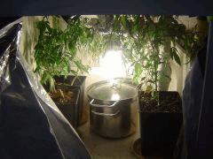 DSC00172