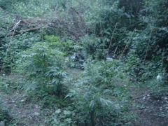 Vu Du spot 2sur3 (2)