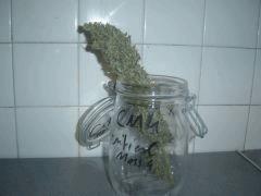 4 Critical mass curing