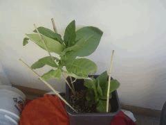 DSC00180