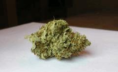 WHITE BERRY # 12