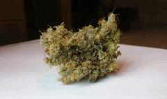 WHITE BERRY # 3