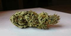 WHITE BERRY # 2