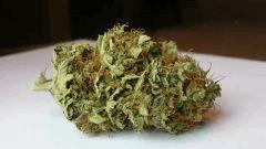 WHITE BERRY # 6