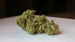WHITE BERRY # 4