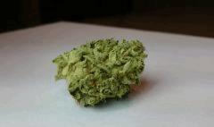 WHITE BERRY # 10