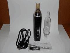 IV 1 Ecapple (5)