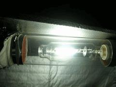 DSCN3245