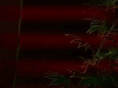 IMG 20170822 185918