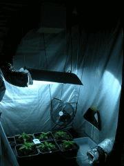 DSCN3567