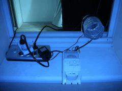 DSCN3532