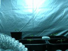 DSCN3371