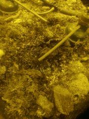 IMG 20170905 205628